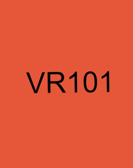 VR101